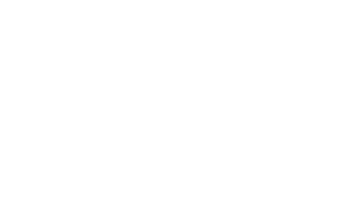 Bunk Beds For Adults