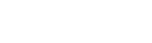 New York & Company
